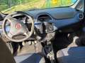 Fiat Punto Evo 5p 1.3 mjt  s&s 95cv Bílá - thumbnail 5