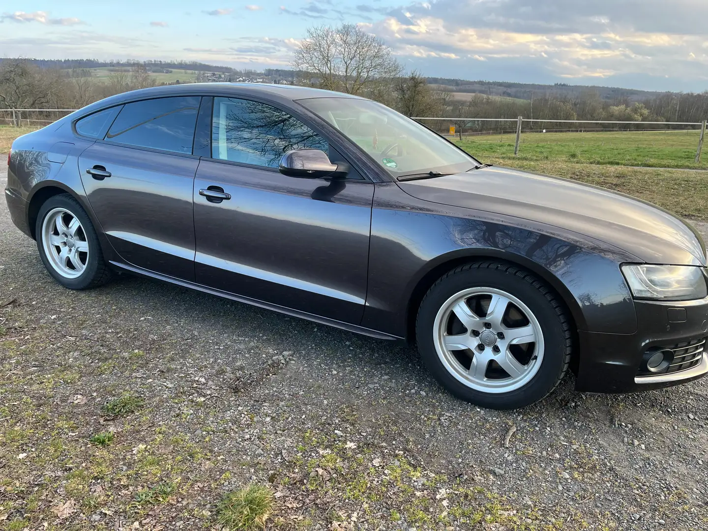 Audi A5 A5 3.0 TDI Sportback quattro DPF Violett - 2