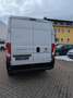 Fiat Ducato Grossr.-Kasten 35 140 L4H2 RS: 4035 mm Blanc - thumbnail 6