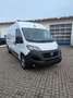 Fiat Ducato Grossr.-Kasten 35 140 L4H2 RS: 4035 mm Blanc - thumbnail 2