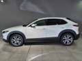 Mazda CX-30 Selection G-150/6GS/Design-P./Premium-P./Navi/Head Blanco - thumbnail 3
