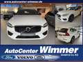 Volvo XC60 B4 D AWD R-Design IntelliSafe+Winter+Licht uv Weiß - thumbnail 1