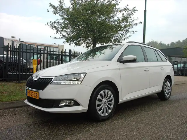 Skoda Fabia Combi 1.0 TSI Greentech 95pk Ambition Apple Carpla