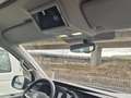 Volkswagen T6.1 California California Beach Camper FWD Grau - thumbnail 3