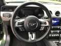 Ford Mustang GT 5.0 V8+MagneRide+ACC+PDC+NAV+B&O+DAB+ Grün - thumbnail 15