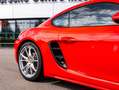 Porsche Cayman Rouge - thumbnail 10