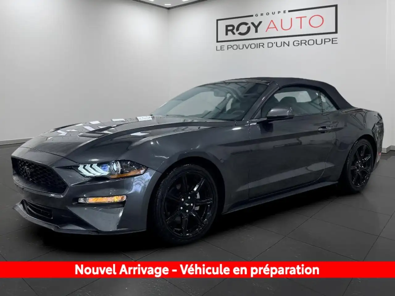2019 Ford Mustang