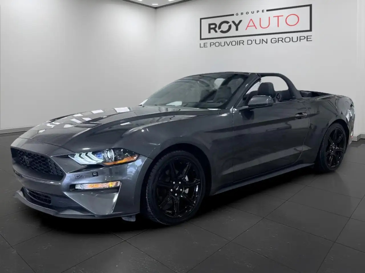 2019 Ford Mustang