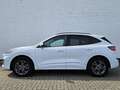 Ford Kuga 2.5 PHEV ST-LINE X*AHK*ACC*LED*RFK*B&O* Weiß - thumbnail 6