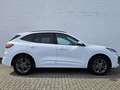 Ford Kuga 2.5 PHEV ST-LINE X*AHK*ACC*LED*RFK*B&O* Weiß - thumbnail 4
