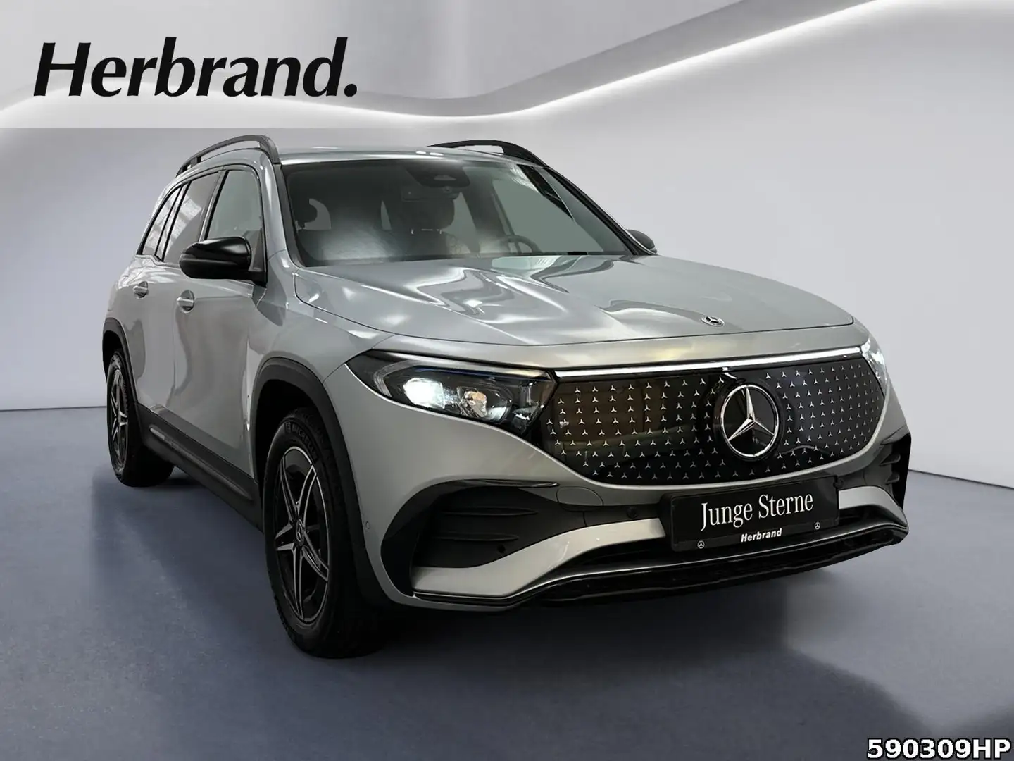 Mercedes-Benz AMG  AHK Rückfahrkamera Totwinkel Night Silber - 2