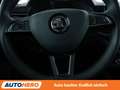 Skoda Scala 1.0 TSI Ambition*LED*TEMPO*PDC* Blau - thumbnail 19