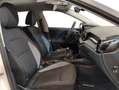 Skoda Fabia 1.0 TSI Active 70kW Blanco - thumbnail 7