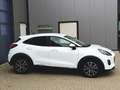 Ford Puma Titanium --Rückfahrkamera-Navi-LED Blanc - thumbnail 2