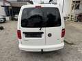 Volkswagen Caddy Caddy lang DSG AHK  Flügeltüren hinten Blanc - thumbnail 4