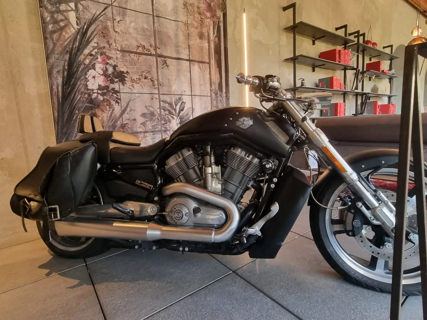 Harley-Davidson V-Rod Muscle Negro - 2
