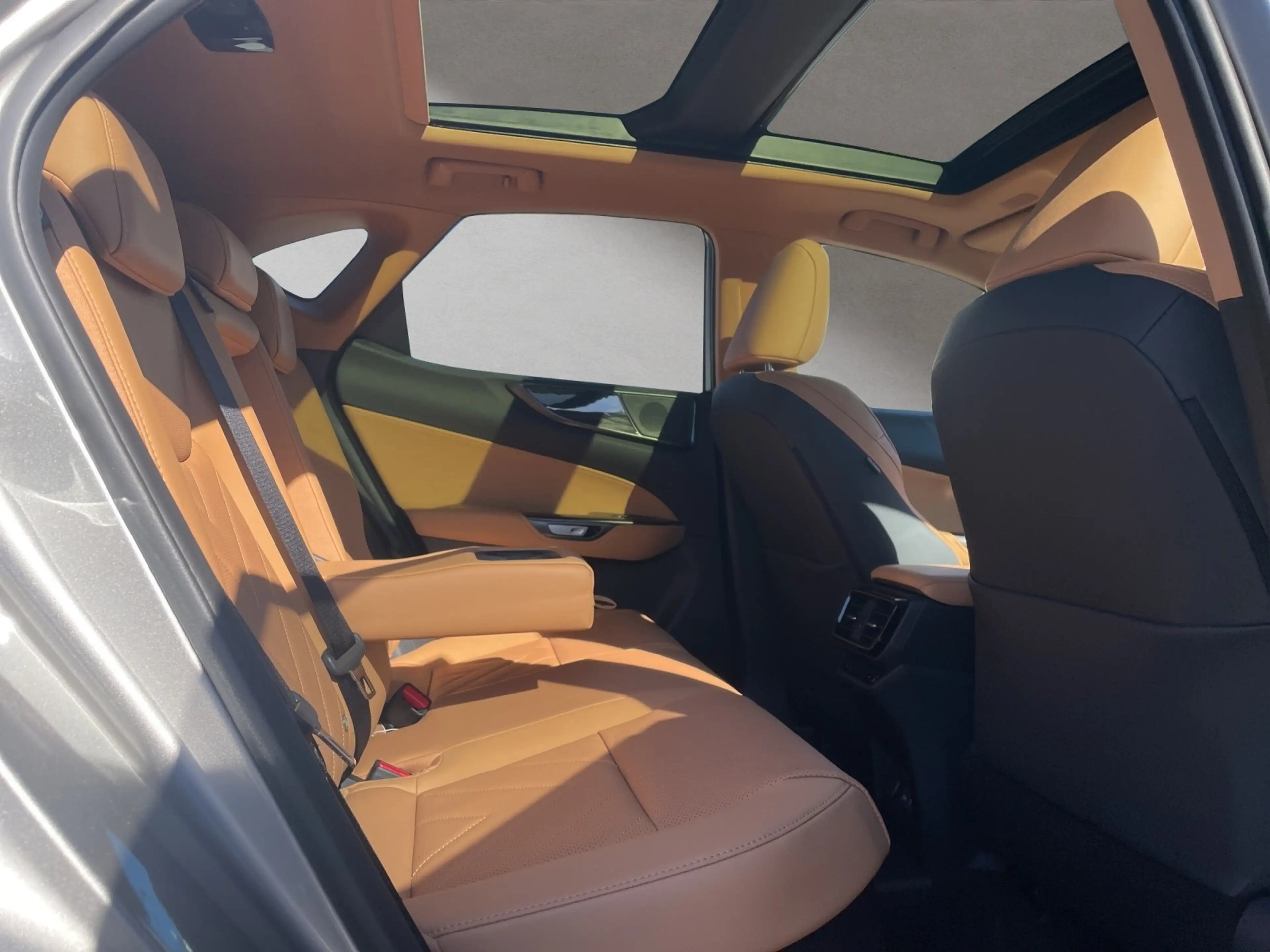 Lexus NX 450h+ + Executive Line 15 Jahre Garantie — photo 14