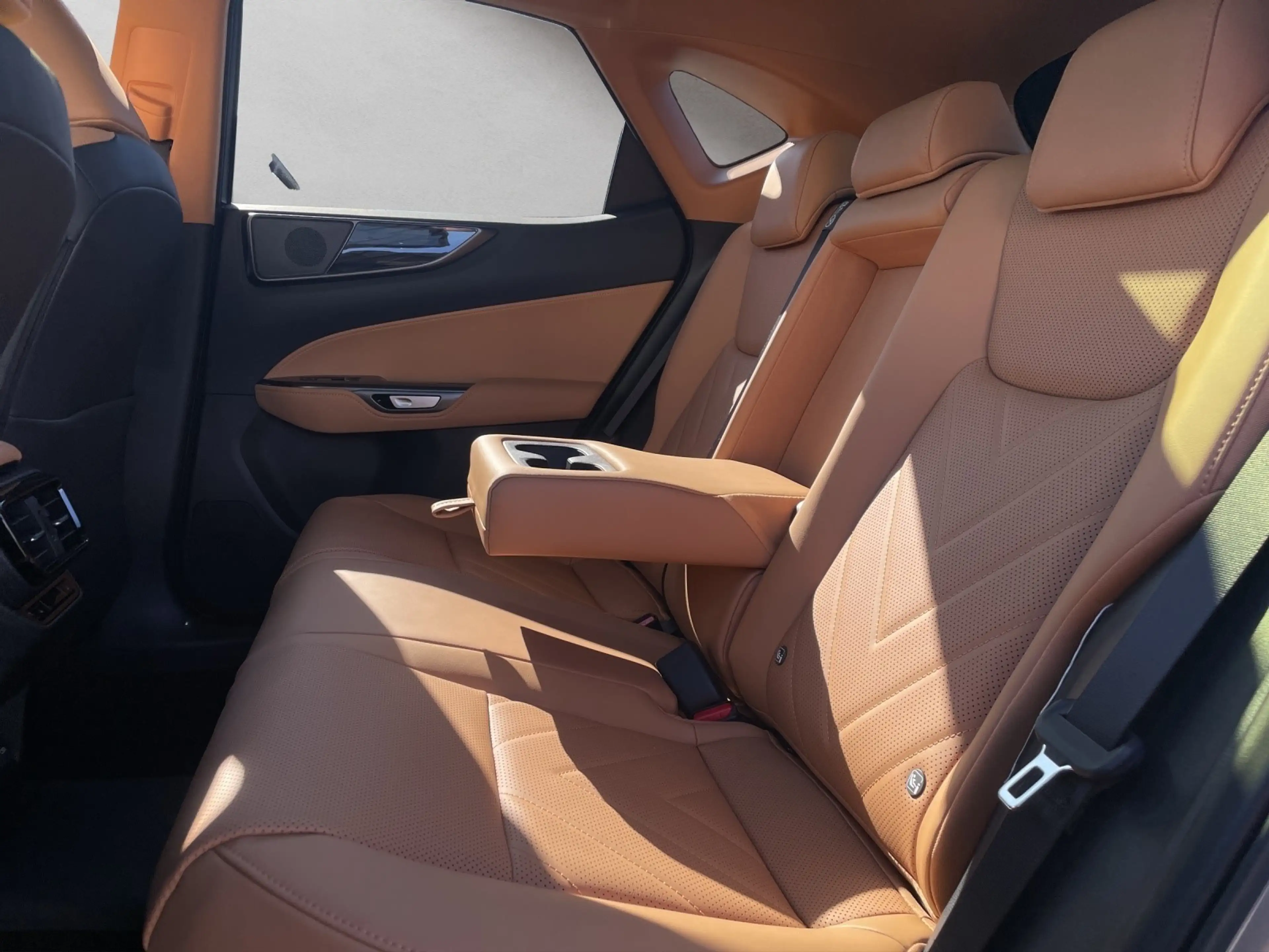 Lexus NX 450h+ + Executive Line 15 Jahre Garantie — photo 15