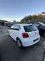 Volkswagen Polo 5p 1.2 tdi Comfortline Bianco - thumbnail 5