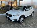 Volvo XC40 D3 Momentum AWD Weiß - thumbnail 1