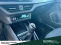 Skoda Scala Selection Anhängerkupplung Vorbereitung Einparkhil Schwarz - thumbnail 19