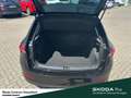 Skoda Scala Selection Anhängerkupplung Vorbereitung Einparkhil Schwarz - thumbnail 10