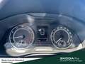 Skoda Scala Selection Anhängerkupplung Vorbereitung Einparkhil Schwarz - thumbnail 20