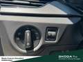Skoda Scala Selection Anhängerkupplung Vorbereitung Einparkhil Schwarz - thumbnail 21