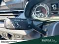 Skoda Scala Selection Anhängerkupplung Vorbereitung Einparkhil Schwarz - thumbnail 23
