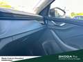 Skoda Scala Selection Anhängerkupplung Vorbereitung Einparkhil Schwarz - thumbnail 18