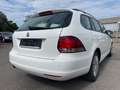 Volkswagen Golf VI Variant Trendline BlueMotion Weiß - thumbnail 11