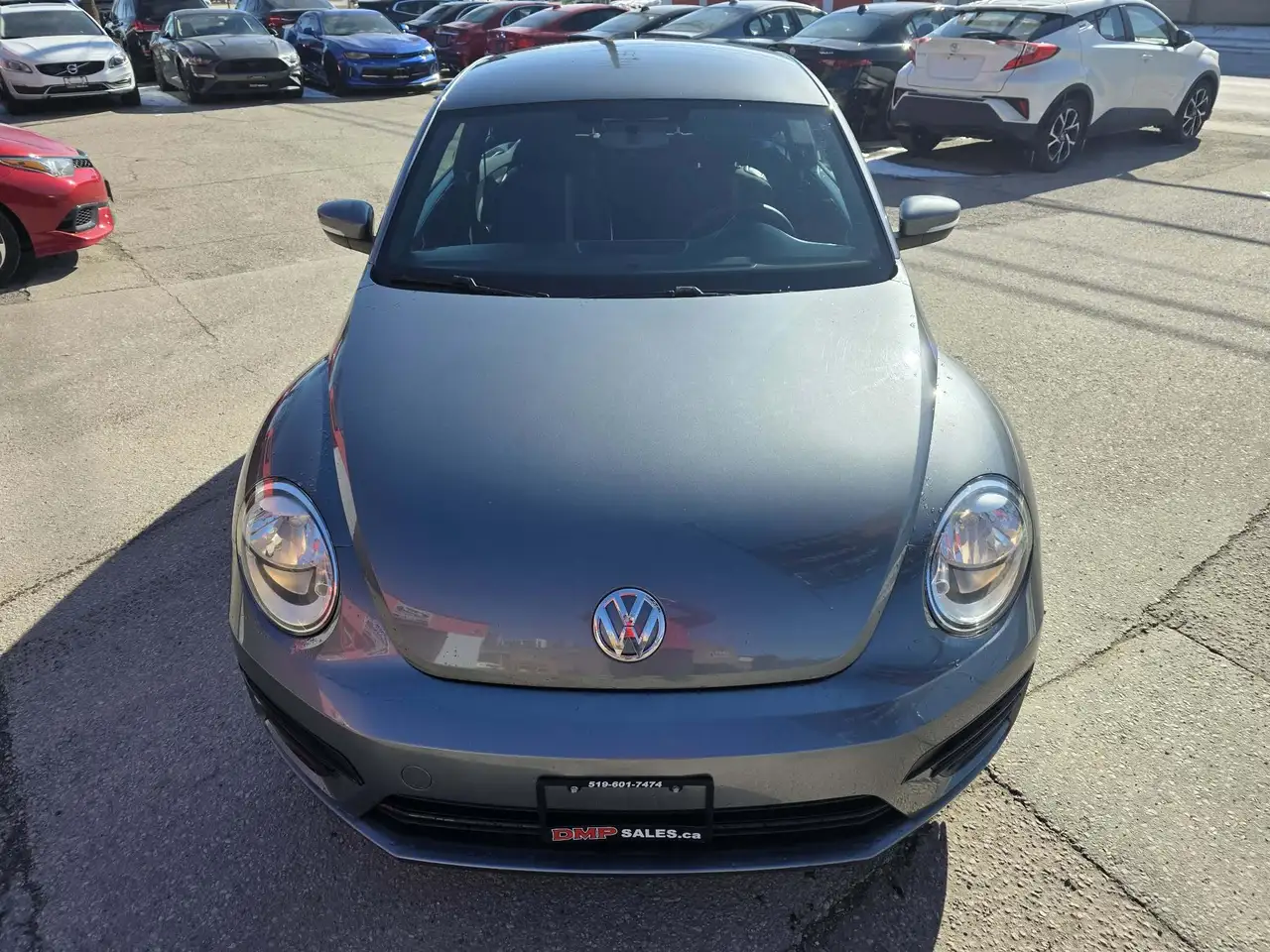 Volkswagen Beetle снимка Volkswagen Beetle