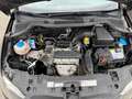 SEAT Ibiza Ibiza ST Reference 1,2 Schwarz - thumbnail 27