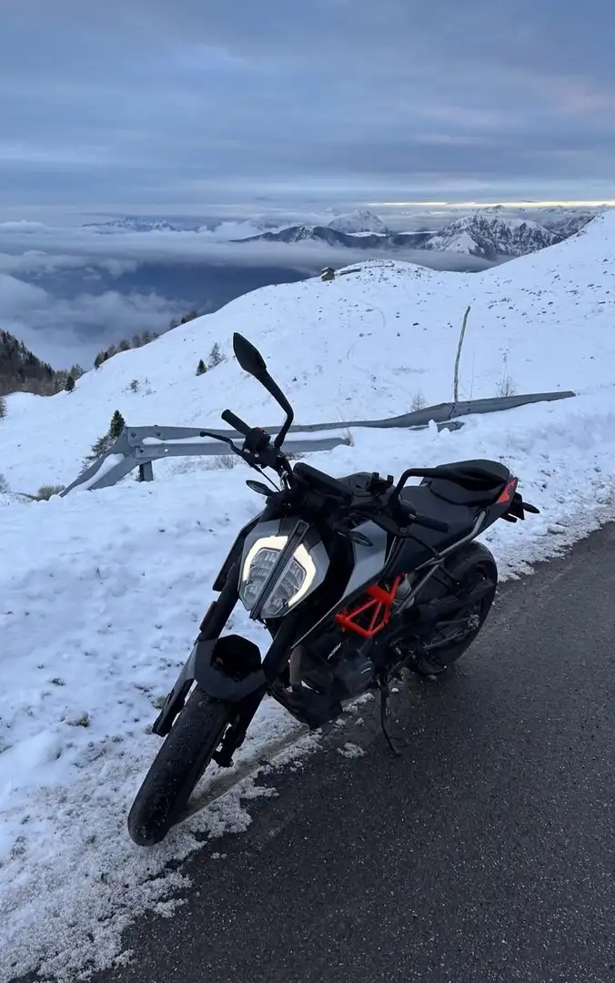 KTM 125 Duke Gri - 2