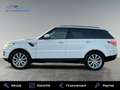 Land Rover Range Rover Sport II 2.0 SD4 240ch Blanco - thumbnail 6