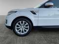 Land Rover Range Rover Sport II 2.0 SD4 240ch Blanco - thumbnail 31