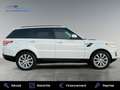 Land Rover Range Rover Sport II 2.0 SD4 240ch Blanco - thumbnail 3