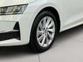 Skoda Octavia wagon 2.0 tdi executive 150cv dsg Bianco - thumbnail 7