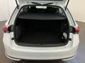 Skoda Octavia wagon 2.0 tdi executive 150cv dsg Bianco - thumbnail 8