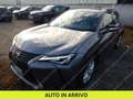 Lexus UX 250h Business 2wd cvt my20 Gris - thumbnail 1