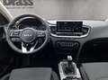 Kia Ceed / cee'd Ceed 1.5 T-GDI Ultimate Edition Style-Paket Schwarz - thumbnail 14