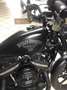 Harley-Davidson Iron 883 all customized - thumbnail 1