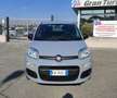 Fiat Panda 1.2 Easy ITALIANA UFFICIALE PREZZO REALE!! Grijs - thumbnail 2