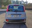 Fiat Panda 1.2 Easy ITALIANA UFFICIALE PREZZO REALE!! Grigio - thumbnail 5