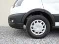 Ford Transit Kasten 2.0 EcoBlue L2H2 350 Trend Blanco - thumbnail 30
