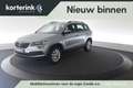 Skoda Karoq 1.5 TSI ACT Business Edition Grijs - thumbnail 1