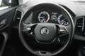 Skoda Karoq 1.5 TSI ACT Business Edition Grijs - thumbnail 15