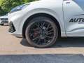 Ford Kuga 2.0 EcoBlue ST-Line X Black Package AWD Autom Weiß - thumbnail 23