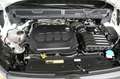 Volkswagen Caddy Caddy Maxi 2,0 TDI Klima DAB+ Einparkhilfe 1.Hd. Weiß - thumbnail 13