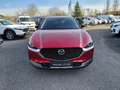 Mazda CX-30 e-Skyactive G140 Homura Automatik AKTION-KURZZU... Rot - thumbnail 8